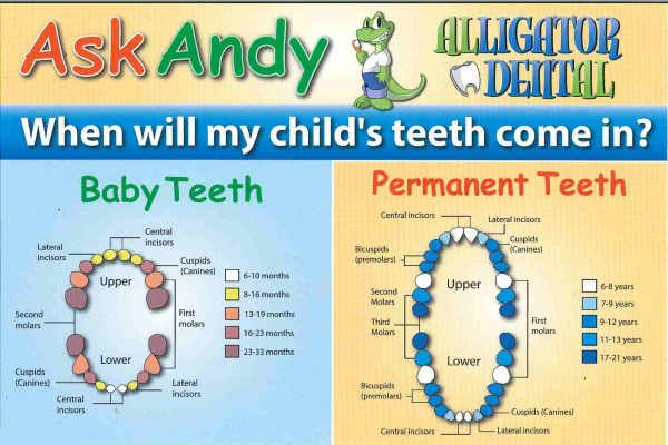 Pediatric Dentistry in Texas, Cibolo, Gonzales, San Marcos, Seguin. Alligator Dental Pediatric Dentist DR. DOROTHY CAUSEY (DR. DORI), DR. AL BURNS, DR. ISRAEL SANTIL, DR. ANAS HAKIMEH, DR. JOHNATHAN AMES (DR. J)